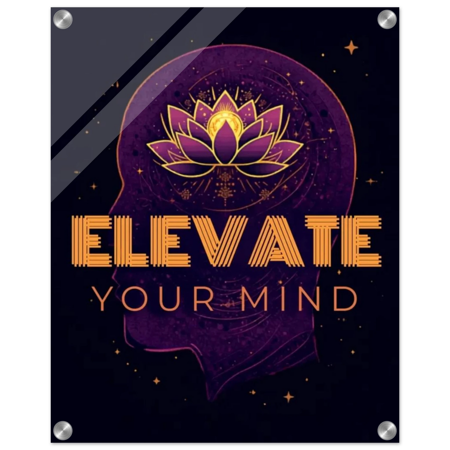 Elevate Your Mind acrylic print mounted on office accent wall